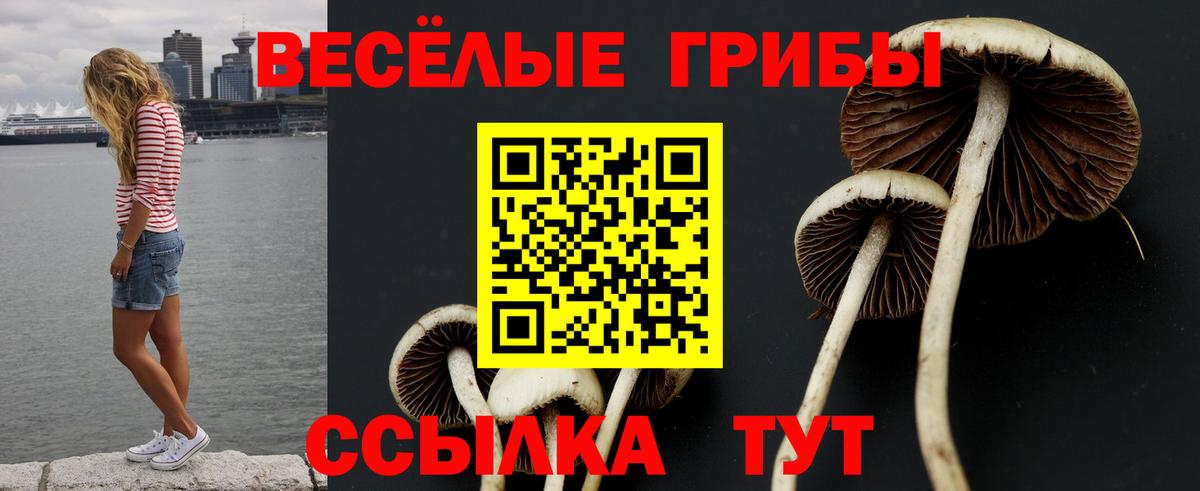 Ханты-Мансийск  Псилоцибиновые грибы Cubensis  Вход с VPN  Галлюциногенные грибы GOLDEN TEACHER 